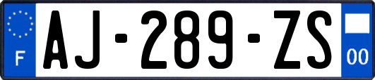 AJ-289-ZS