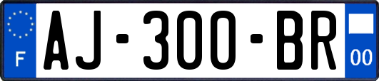 AJ-300-BR