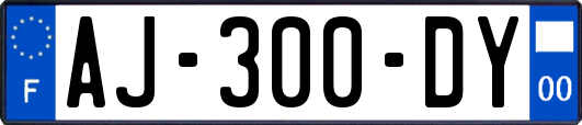 AJ-300-DY