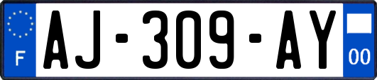 AJ-309-AY