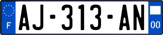 AJ-313-AN