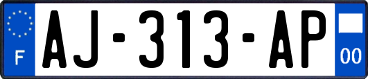 AJ-313-AP