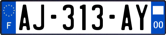 AJ-313-AY