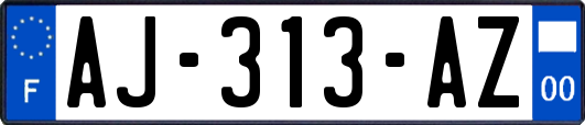 AJ-313-AZ