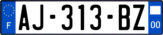 AJ-313-BZ