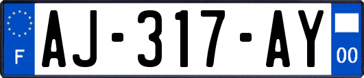 AJ-317-AY