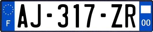 AJ-317-ZR