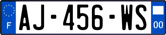 AJ-456-WS