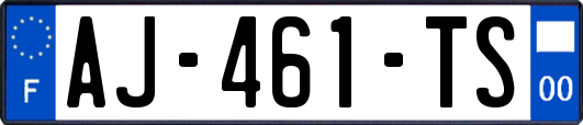AJ-461-TS