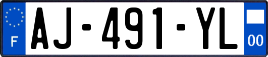 AJ-491-YL