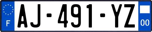 AJ-491-YZ