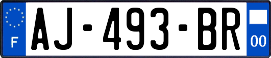 AJ-493-BR