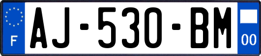 AJ-530-BM