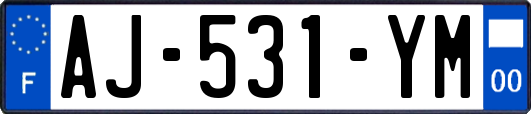 AJ-531-YM
