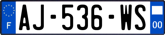 AJ-536-WS