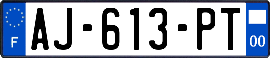 AJ-613-PT
