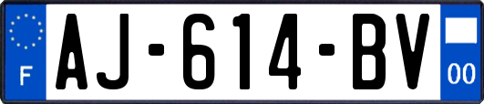 AJ-614-BV