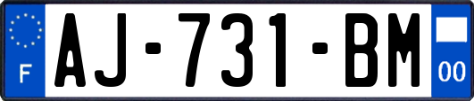 AJ-731-BM