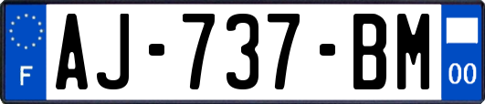 AJ-737-BM