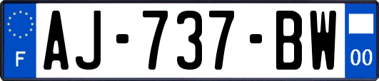 AJ-737-BW