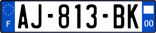 AJ-813-BK