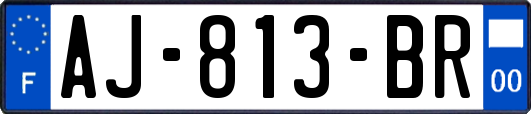 AJ-813-BR