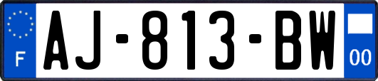 AJ-813-BW