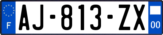 AJ-813-ZX