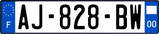 AJ-828-BW