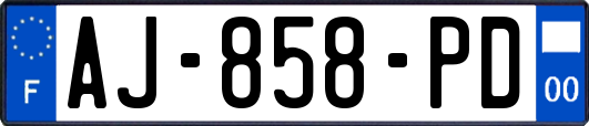 AJ-858-PD