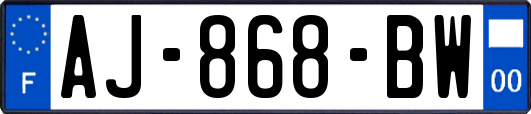 AJ-868-BW