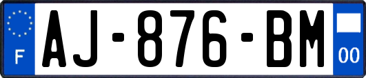 AJ-876-BM