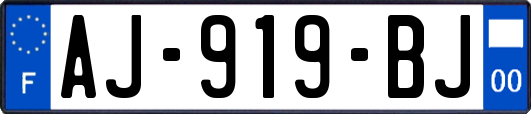 AJ-919-BJ