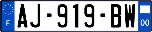 AJ-919-BW