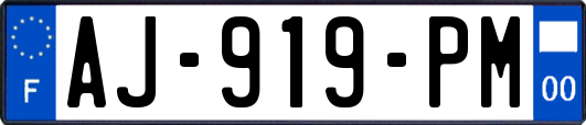 AJ-919-PM