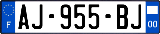 AJ-955-BJ