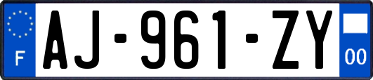 AJ-961-ZY