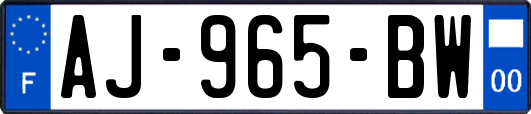 AJ-965-BW