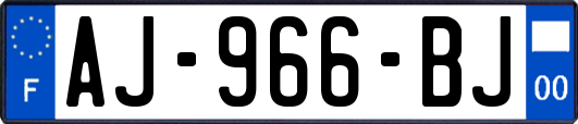 AJ-966-BJ