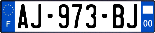 AJ-973-BJ