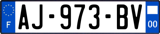 AJ-973-BV