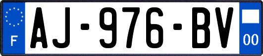 AJ-976-BV