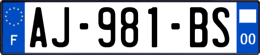 AJ-981-BS