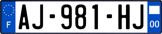 AJ-981-HJ