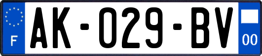AK-029-BV