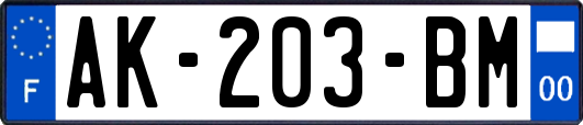 AK-203-BM