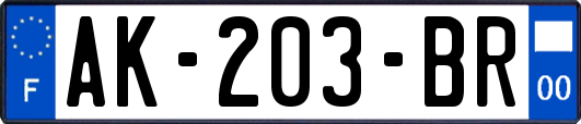 AK-203-BR