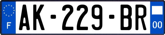 AK-229-BR
