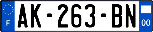 AK-263-BN
