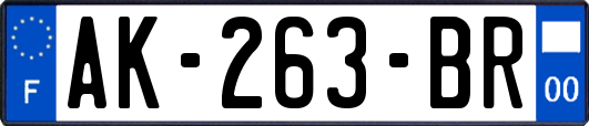 AK-263-BR